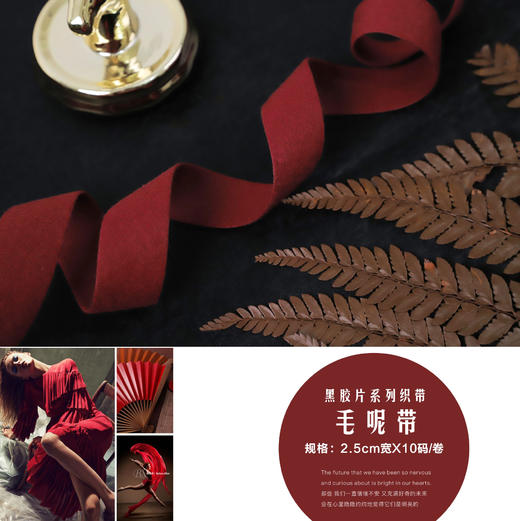 【圣诞捡漏蝴蝶结】2.5cm毛呢带 商品图3