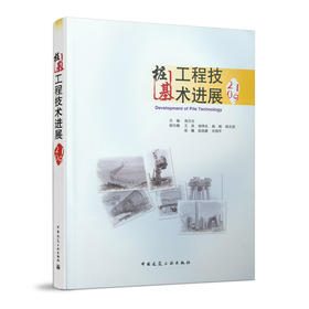 桩基工程技术进展 （2019）