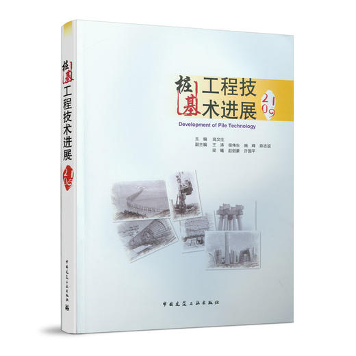 桩基工程技术进展 （2019） 商品图0