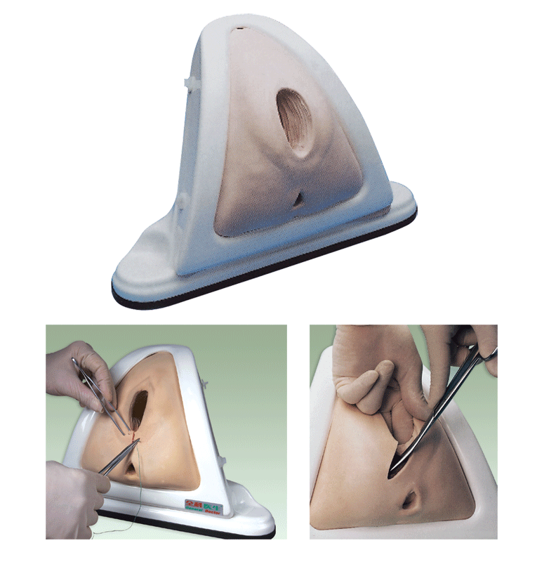 【医学模型】高级会阴切开缝合技能训练模型