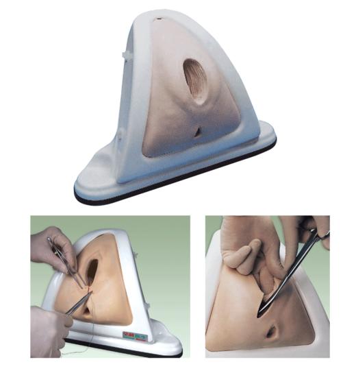 【医学模型】高级会阴切开缝合技能训练模型 商品图0