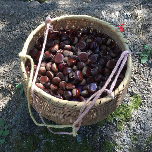 【每周二周五发货】怀柔生态鲜板栗/速冻板栗仁（基地直发-申通包邮） | 多种规格，来自北京怀柔，生产者：王秀亮【合作生产，公平贸易】 商品图7