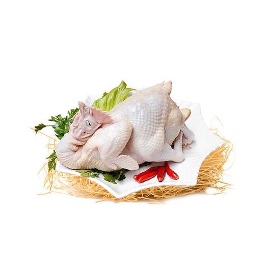 邻居帮砍湘黄鸡1只