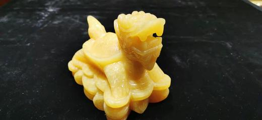 黄玉龙龟 商品图2