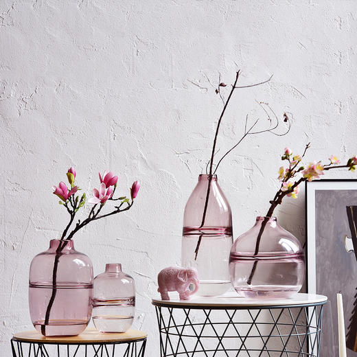 冬青碧轩玻璃花瓶客厅插花摆件富贵竹百合干花透明花器北欧简约小清新瓶子 商品图2