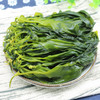 霞浦海带嫩苗（芽新鲜薄幼嫩 2斤装） 商品缩略图3