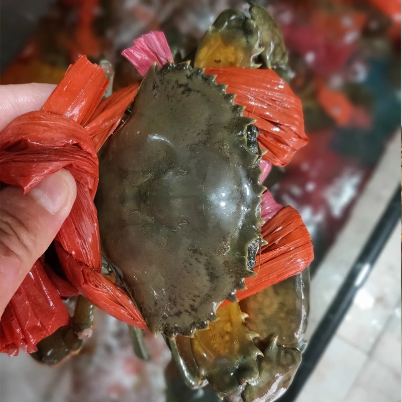大肉蟹，85元1只，带绳子每只1斤