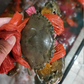 大肉蟹，85元1只，带绳子每只1斤