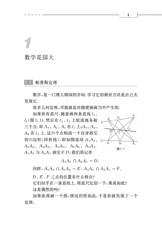 【POD 按需印刷】单墫老师教你学数学 平面几何中的小花 数学科普趣味 商品图3