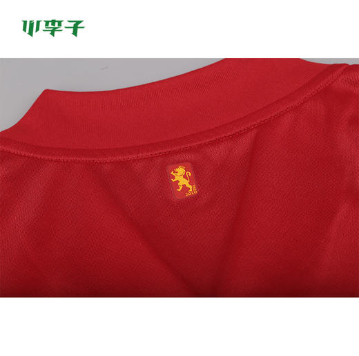 ADIDAS/阿迪达斯欧洲杯 西班牙主场/客场球迷版球衣球裤FR8361 商品图4