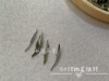 小陈茶事2018抛荒银针（50克品鉴装） 商品缩略图7