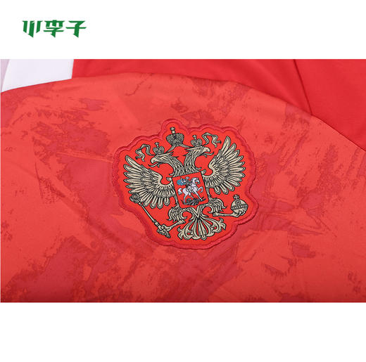 ADIDAS/阿迪达斯 欧洲杯 俄罗斯主场 短袖比赛服球迷版球衣 商品图3