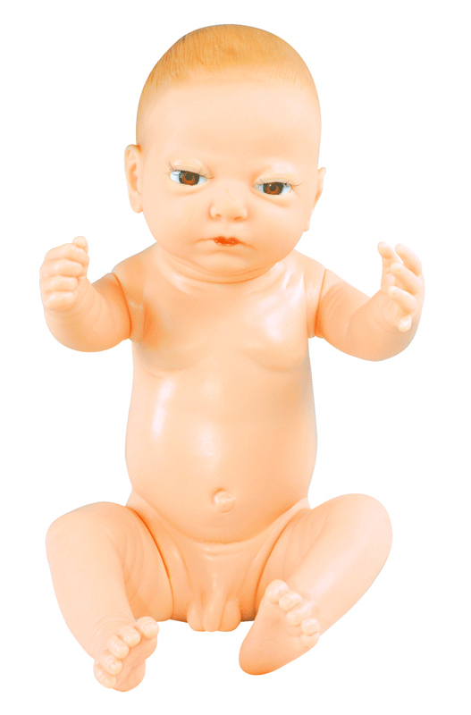 【医学模型】高级出生婴儿模型（重3200g）
