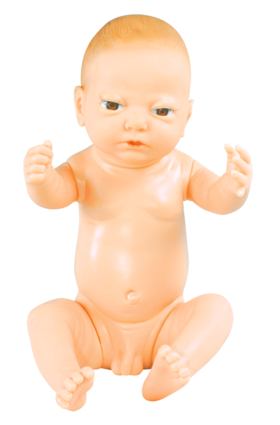 【医学模型】高级出生婴儿模型（重3200g）