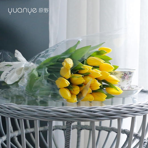 （6款可选）郁金香花束 商品图5