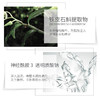 【26年3月到期】二代茉莉补水乳液130ml【单拍不发货】 商品缩略图4