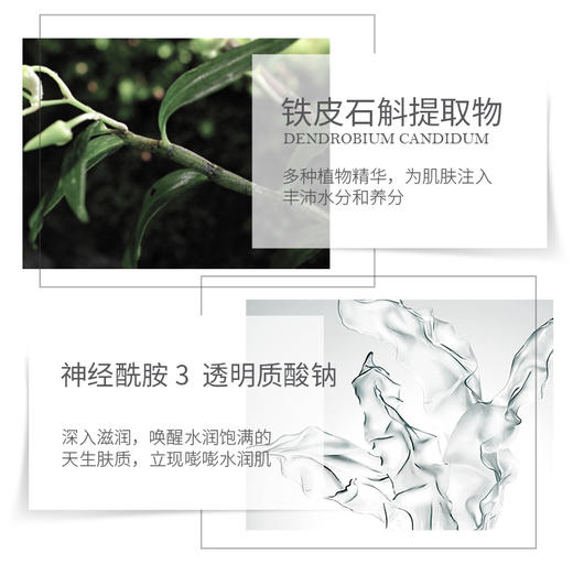 【26年3月到期】二代茉莉补水乳液130ml【单拍不发货】 商品图4