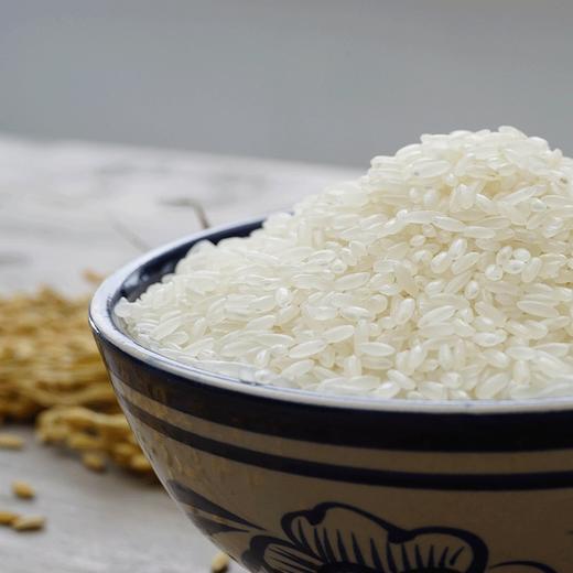 新米 舒兰大米 故溪香稻，2.5kg小包装，稻花香米，家乡的大米，软糯醇正 商品图1