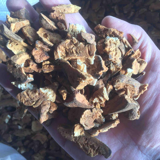 特价！生/炒 白术碎片 2kg/份 商品图2