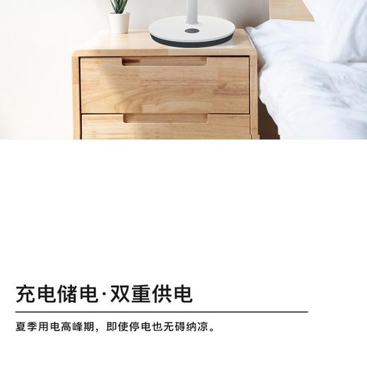 官方授权FAGOR/法格 静音循环扇电风扇 自然风 双层16叶VTR-96BJPY带授权招加盟代理 商品图12