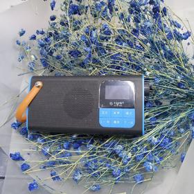 不见不散多功能便捷音箱LV5800