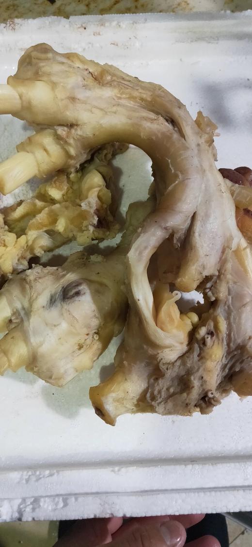 牛蹄筋（2斤装）每周只有星期一，星期三，星期六，杀牛 商品图1
