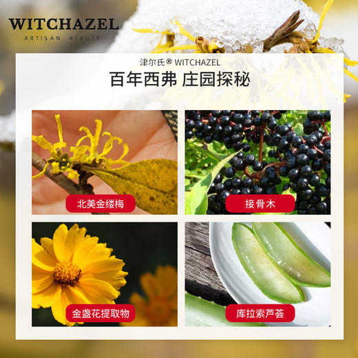 【补水界的扛把子】美国WITCHAZEL津尔氏金缕爽肤水335ML 补水保温去黄提亮 商品图2