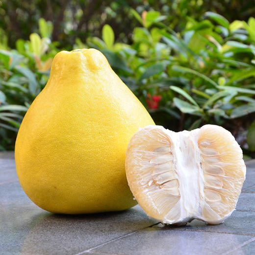 梅州沙田柚5斤38年老树种植肉嫩清甜多汁