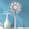 官方授权FAGOR/法格 静音循环扇电风扇 自然风 双层16叶VTR-96BJPY带授权招加盟代理 商品缩略图1