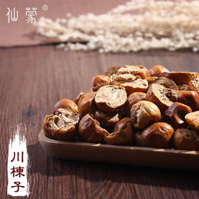 仙蒙 川楝子 苦楝子  500克 1kg