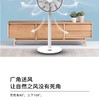 官方授权FAGOR/法格 静音循环扇电风扇 自然风 双层16叶VTR-96BJPY带授权招加盟代理 商品缩略图8