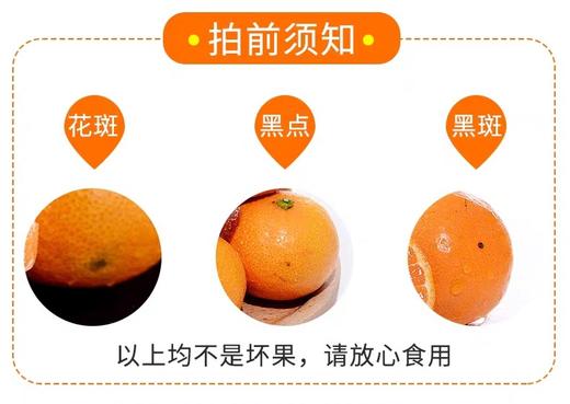 涌泉蜜橘蜜桔4.5-5斤装 商品图13