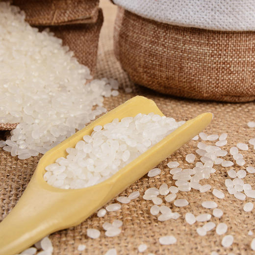 故溪霜稻，2.5kg小包装，小粒香米，全新品种，口感香甜 商品图3