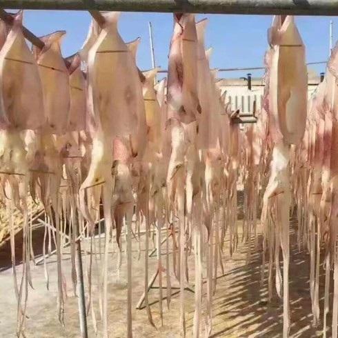 【海货精选】东山海鲜•带着卵的母鱿鱼 原生态晾晒工艺 不加盐 不添加色素 月子餐必备 商品图4