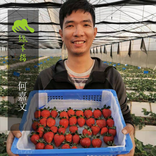 有机草莓罐头 | 绿家自产*Organic strawberry can | Self-production 商品图5