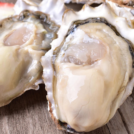 海阳连理岛深海生蚝5斤