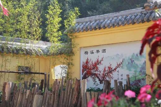寻梦特惠138元 含午餐  12.27新兴·赏天露山十里梅林·摄梅溪古镇一天<臻享1元> 商品图7