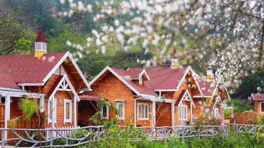 寻梦特惠138元 含午餐  12.27新兴·赏天露山十里梅林·摄梅溪古镇一天<臻享1元> 商品图5