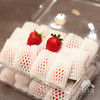 有机草莓（过年不停发） | 绿家自产*Organic strawberry | Self-production 商品缩略图2