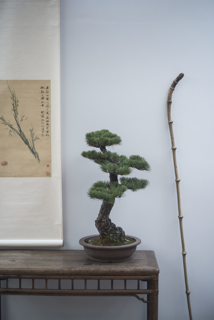 筇竹高士杖空间陈设雅物摆件