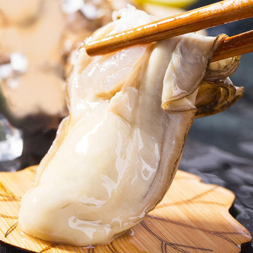 海阳连理岛深海生蚝5斤