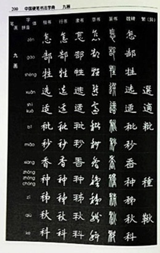 中国硬笔书法字典实用于楷书行书隶书草书篆魏繁体成人书法速成字帖庞