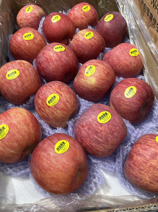 青怡洛川苹果，可以连皮吃的苹果，松脆可口，果香十足（微酸），整件精致外包装 商品图6