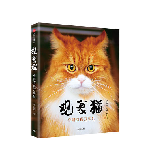 观复猫 今朝有猫万事足 马未都 著 商品图0