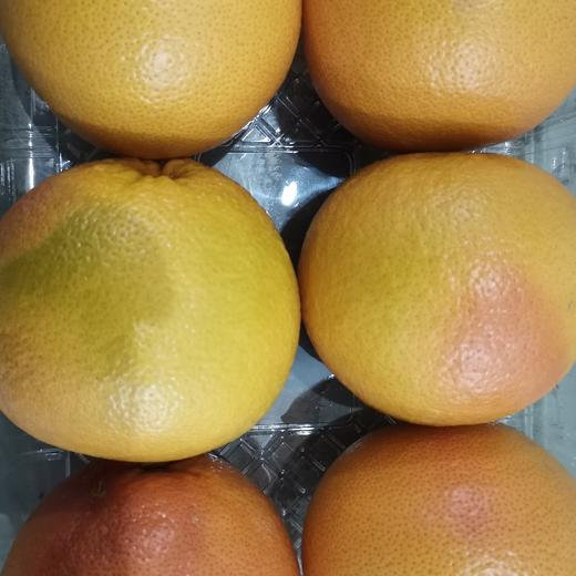 埃及西柚6粒装