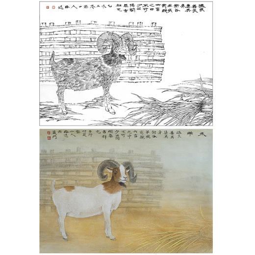 工笔动物白描底稿-郑路迅作品十二生肖-羊-斗方小品册页-LX08 商品图0
