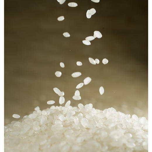 故溪霜稻·礼盒装 5kg 小粒香米 口感胜似稻花香 外观小巧 口感上乘 商品图3