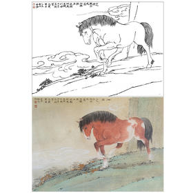 工笔动物白描底稿-郑路迅作品十二生肖-马-斗方小品册页-LX07