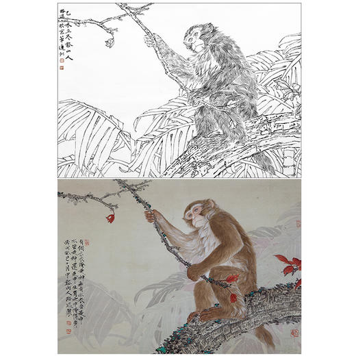 工笔动物白描底稿-郑路迅作品十二生肖-猴-斗方小品册页-LX09 商品图0