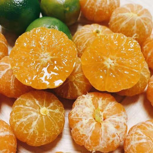 【泰国无籽茶桔】1斤 商品图1